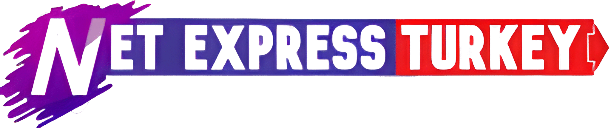 Net Express Turkey Logo